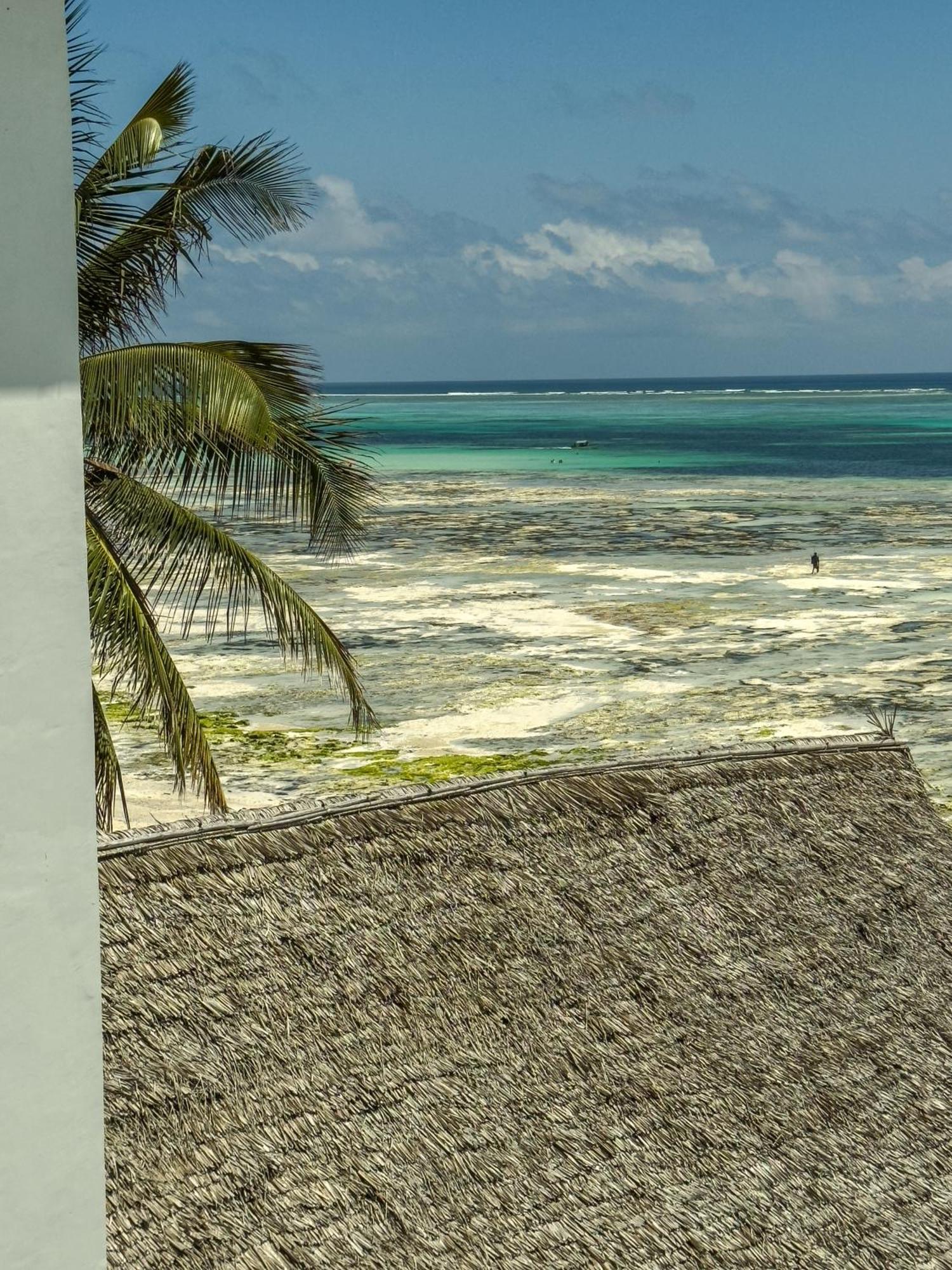 Mia Boutique Hotel Michamvi エクステリア 写真